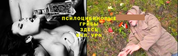 амф Алексин