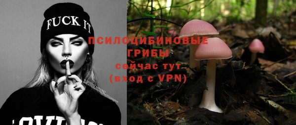 МДПВ Няндома
