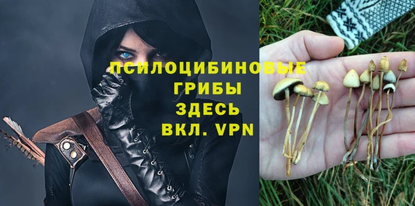 твердый Алзамай