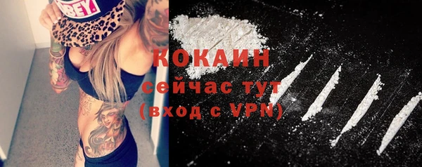 соль ск Алексеевка
