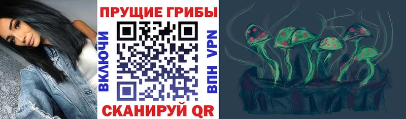 Псилоцибиновые грибы MAGIC MUSHROOMS  Узловая 